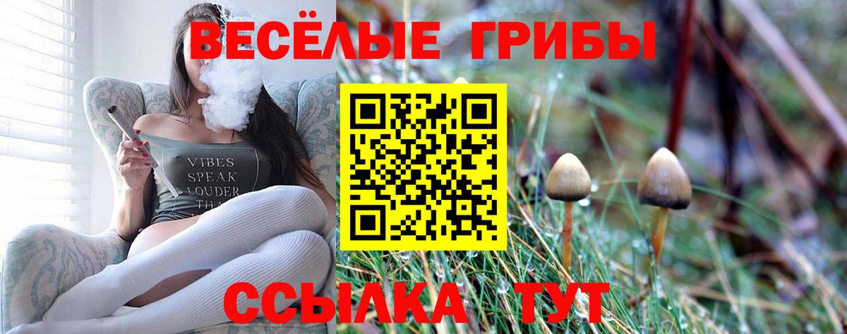 Псилоцибиновые грибы Cubensis Черемхово