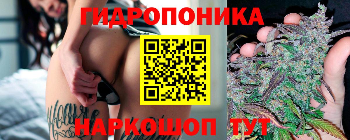 Шишки марихуана семена  Вход с VPN  Конопля сатива  Конопля план  Черемхово  Шишки марихуана семена 